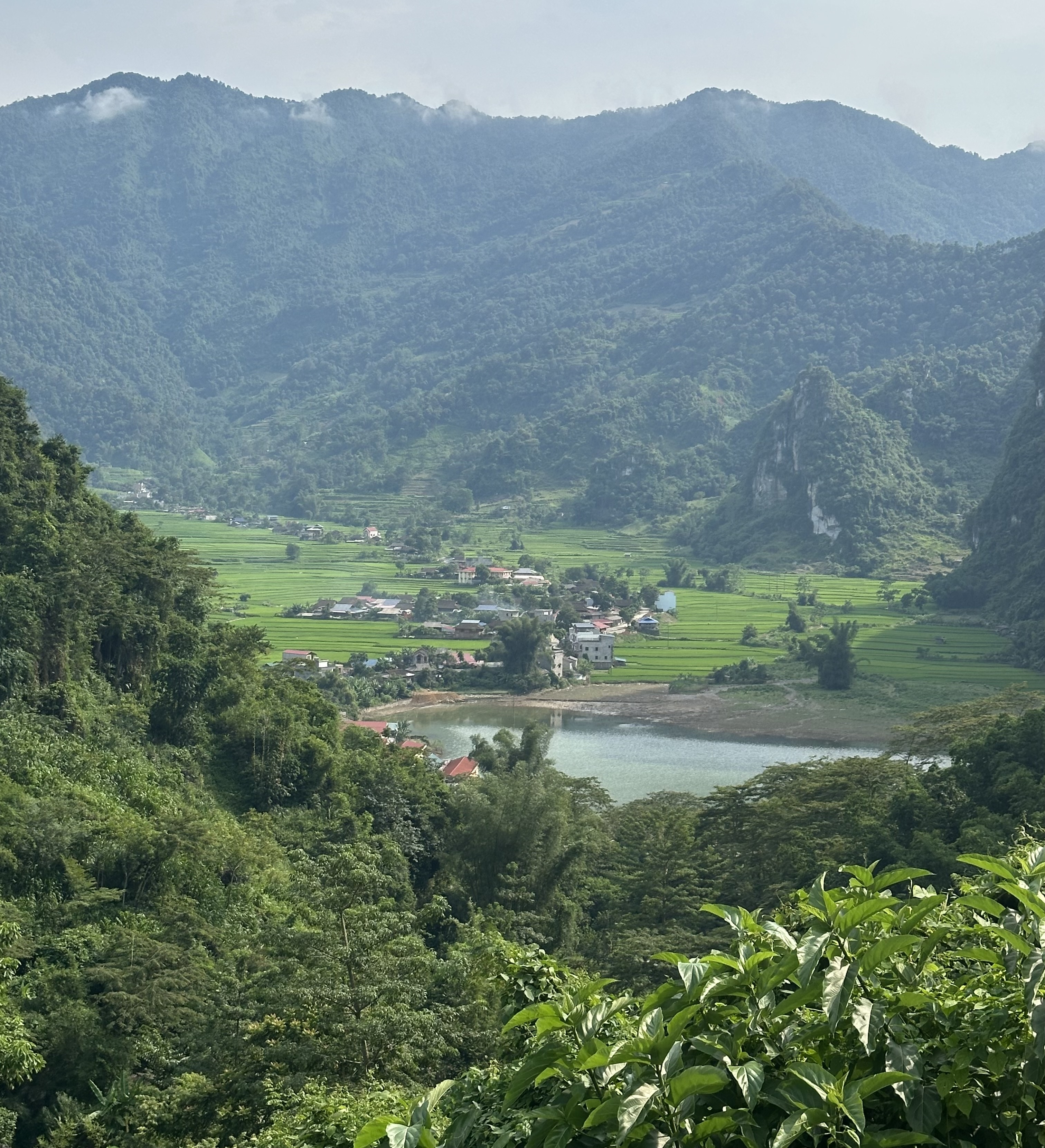 A Village Among the Rice Fields – A Hidden Beauty of Ha Giang