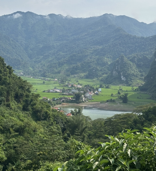 A Village Among the Rice Fields â€“ A Hidden Beauty of Ha Giang