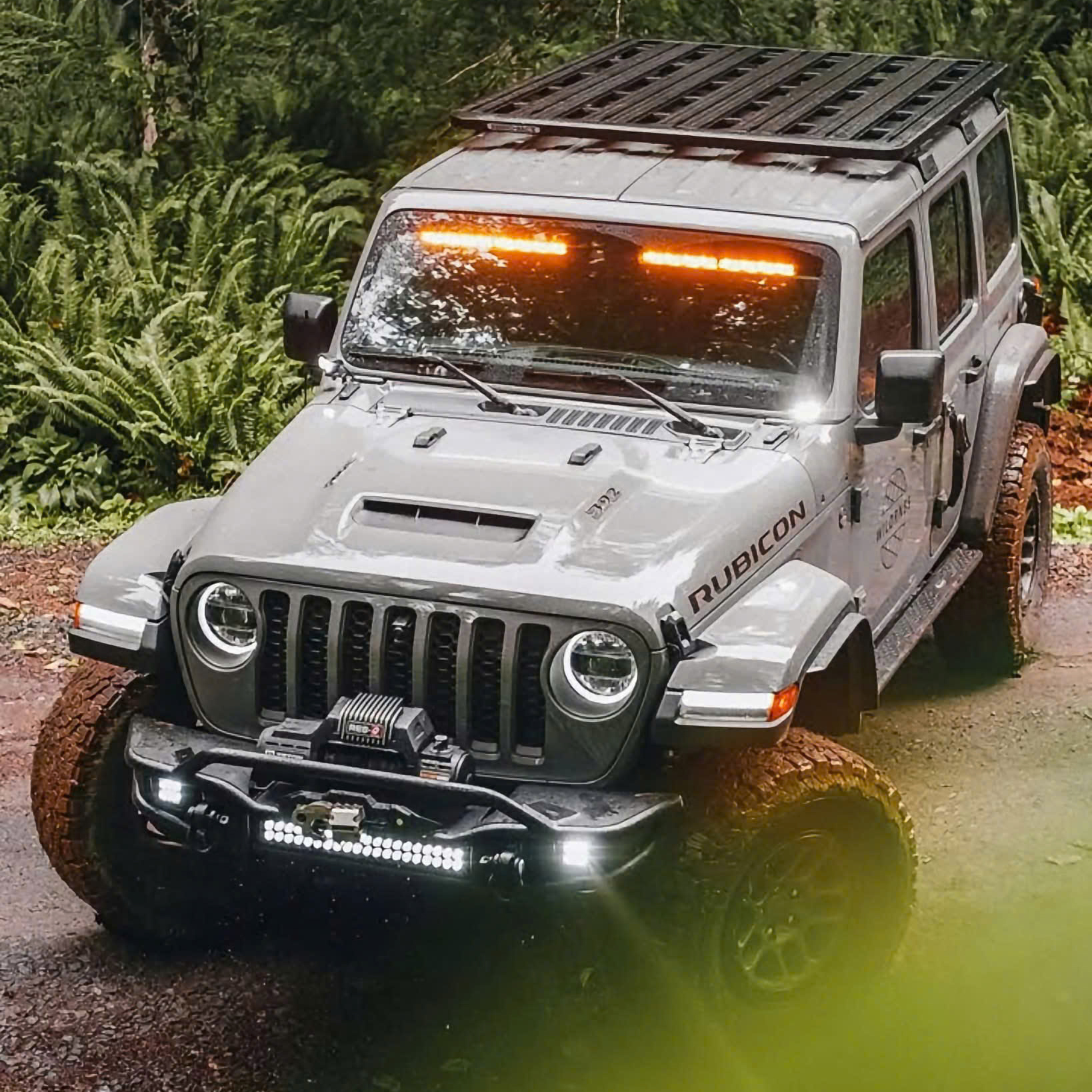 Luxury Tour Jeep