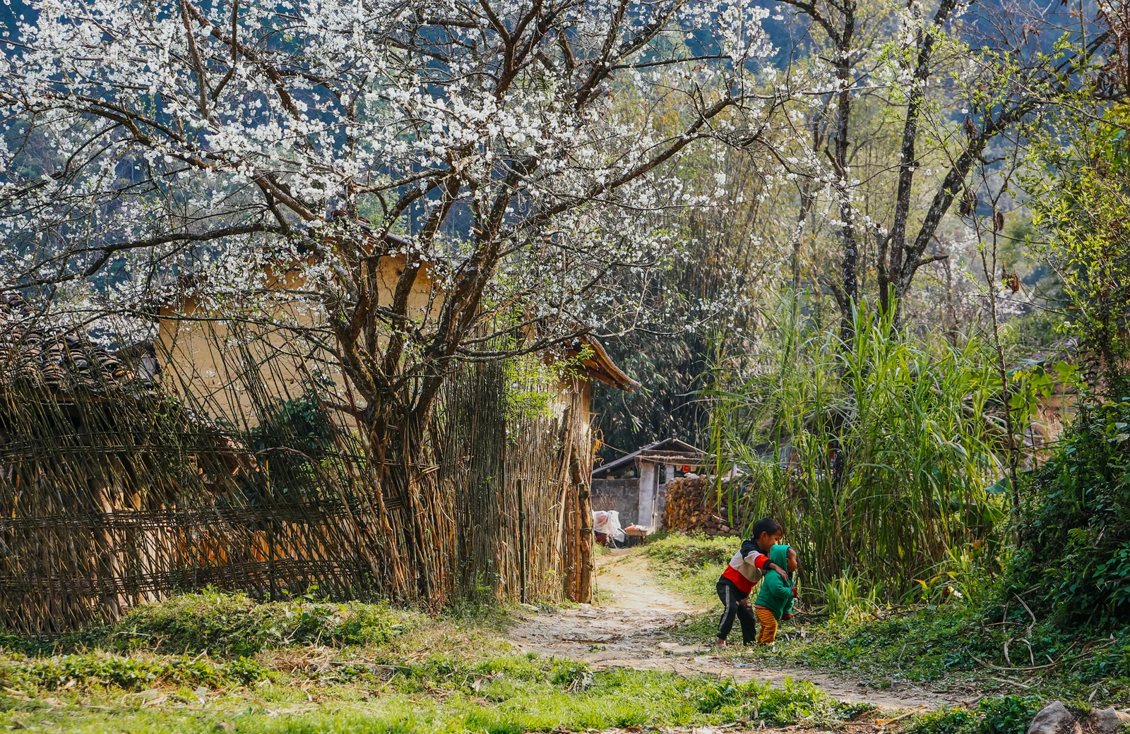 Cultural experience with H'Mong communities on the Ha Giang Loop tour